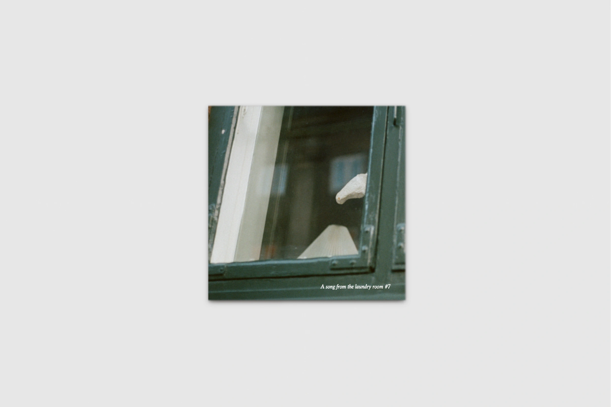 Only A White Horse by the Window